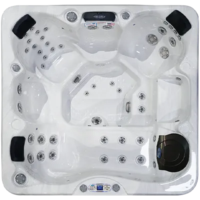 Avalon EC-849L hot tubs for sale in Miramar