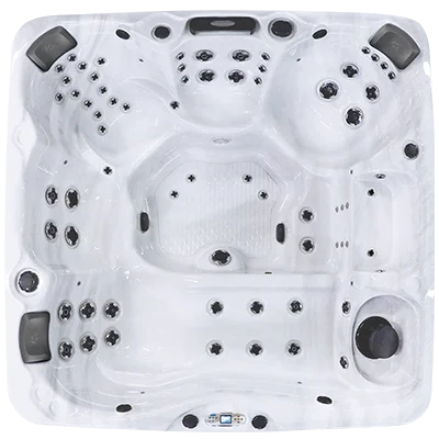 Avalon EC-867L hot tubs for sale in Miramar